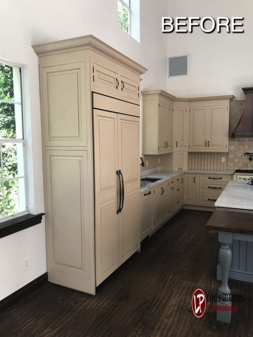 Modern Kitchen in Tampa Before Cabinet Painting